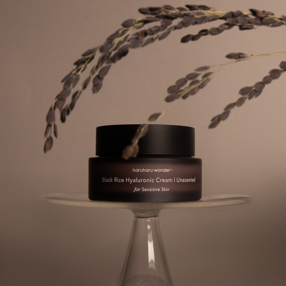 Pot sombre de crème sans parfum sous un épi de riz noir