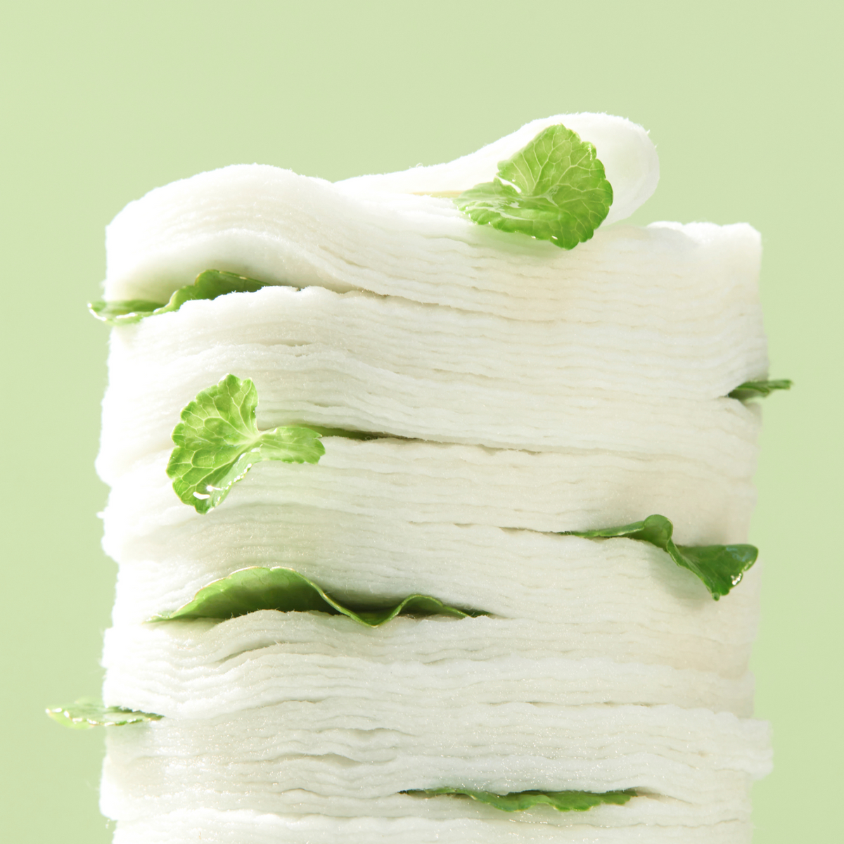 Pile de disques blancs entrelacés de feuilles de centella