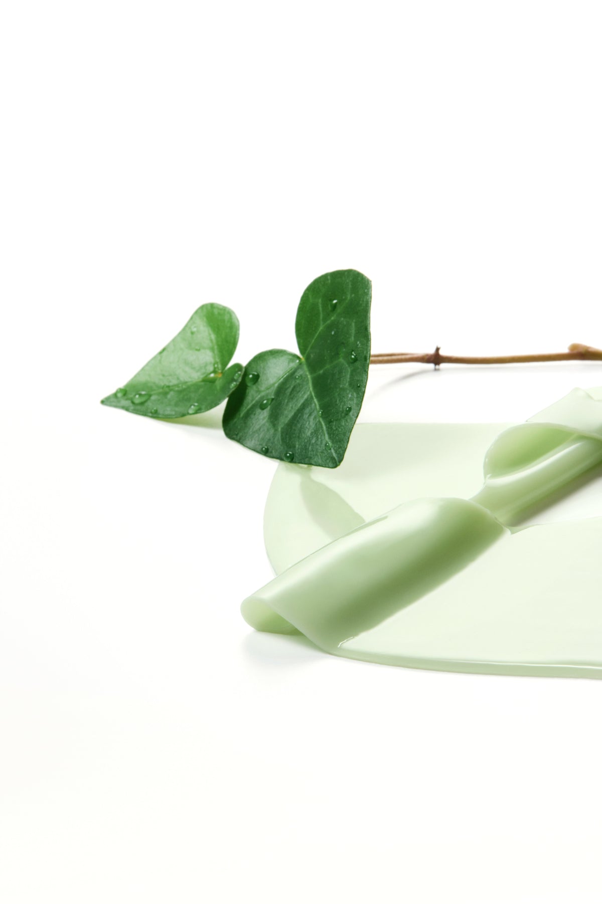 Masque hydrogel vert pâle roulé près de feuilles