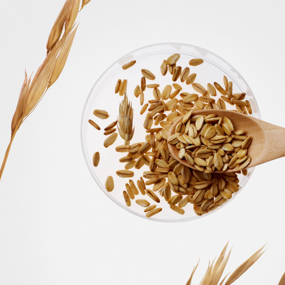 Grains d&