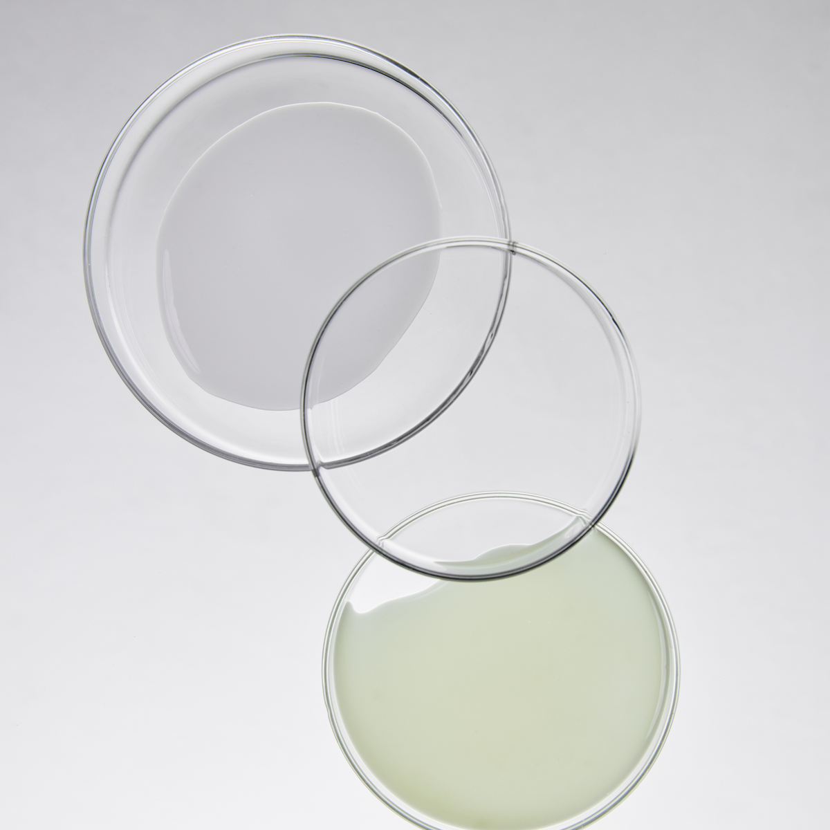 Sérum jaune pâle dans une coupelle transparente